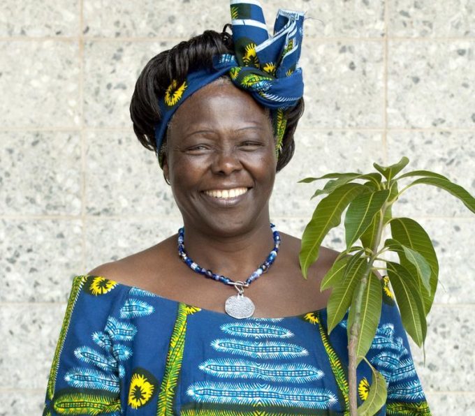 Wangari Maathai - Gebara IT Solutions